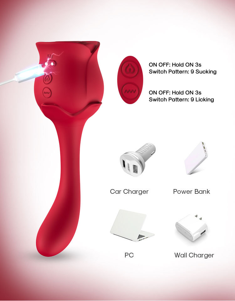 VB5171 Rose Vibrator USB charging accessories and packaging
