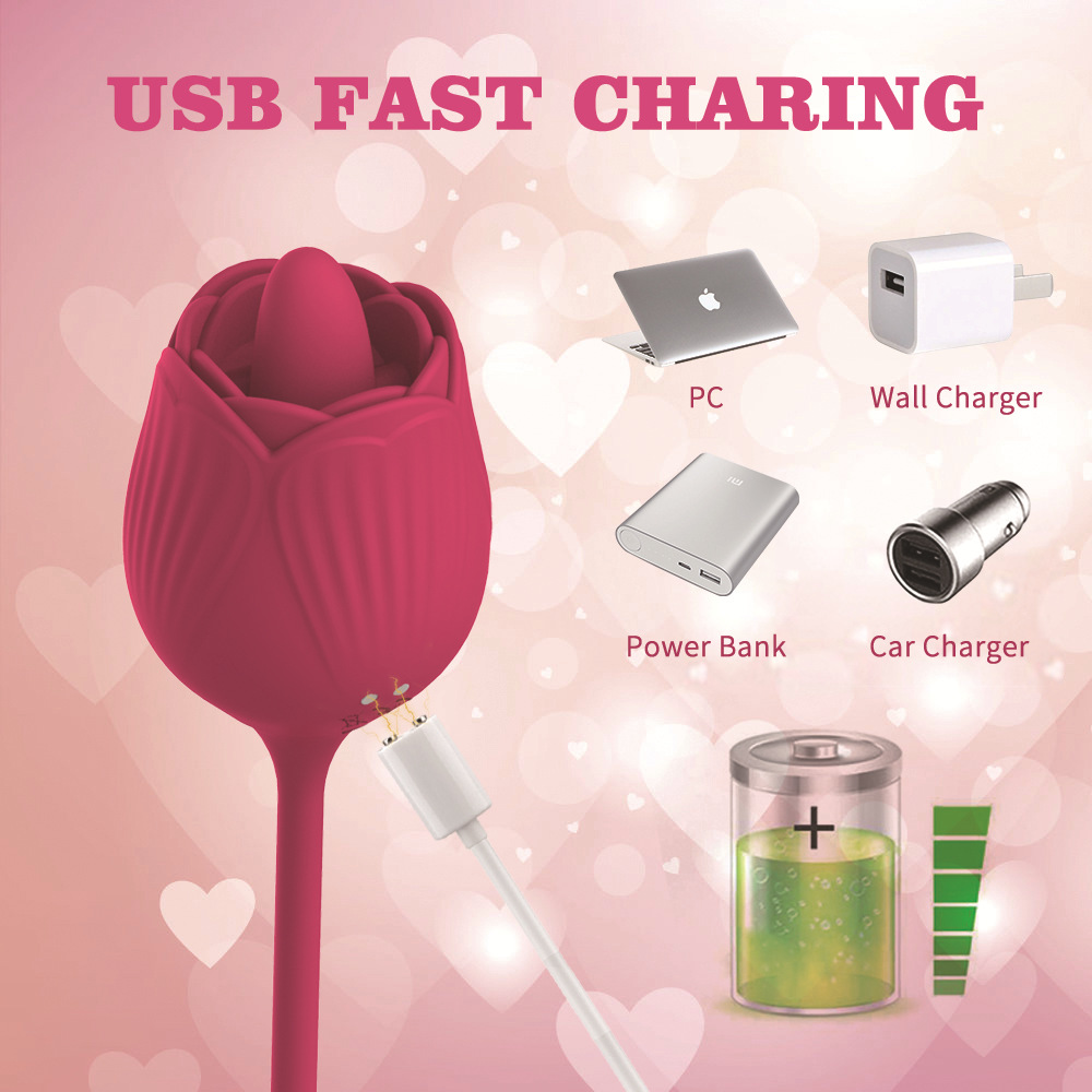 VB5173 Rose Vibrator USB fast charging with power bank wall charger and car charger