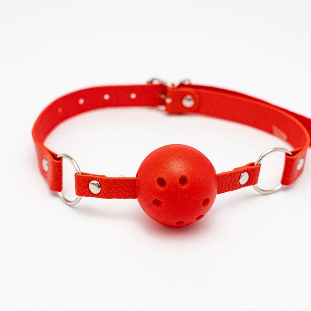 Red ball gag with strap from beginner SM bondage kit