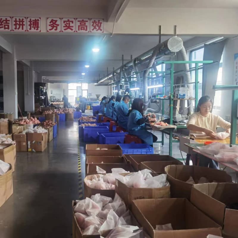 Busy workshop floor with workers packaging large quantities of products, demonstrating high production capacity and efficiency.