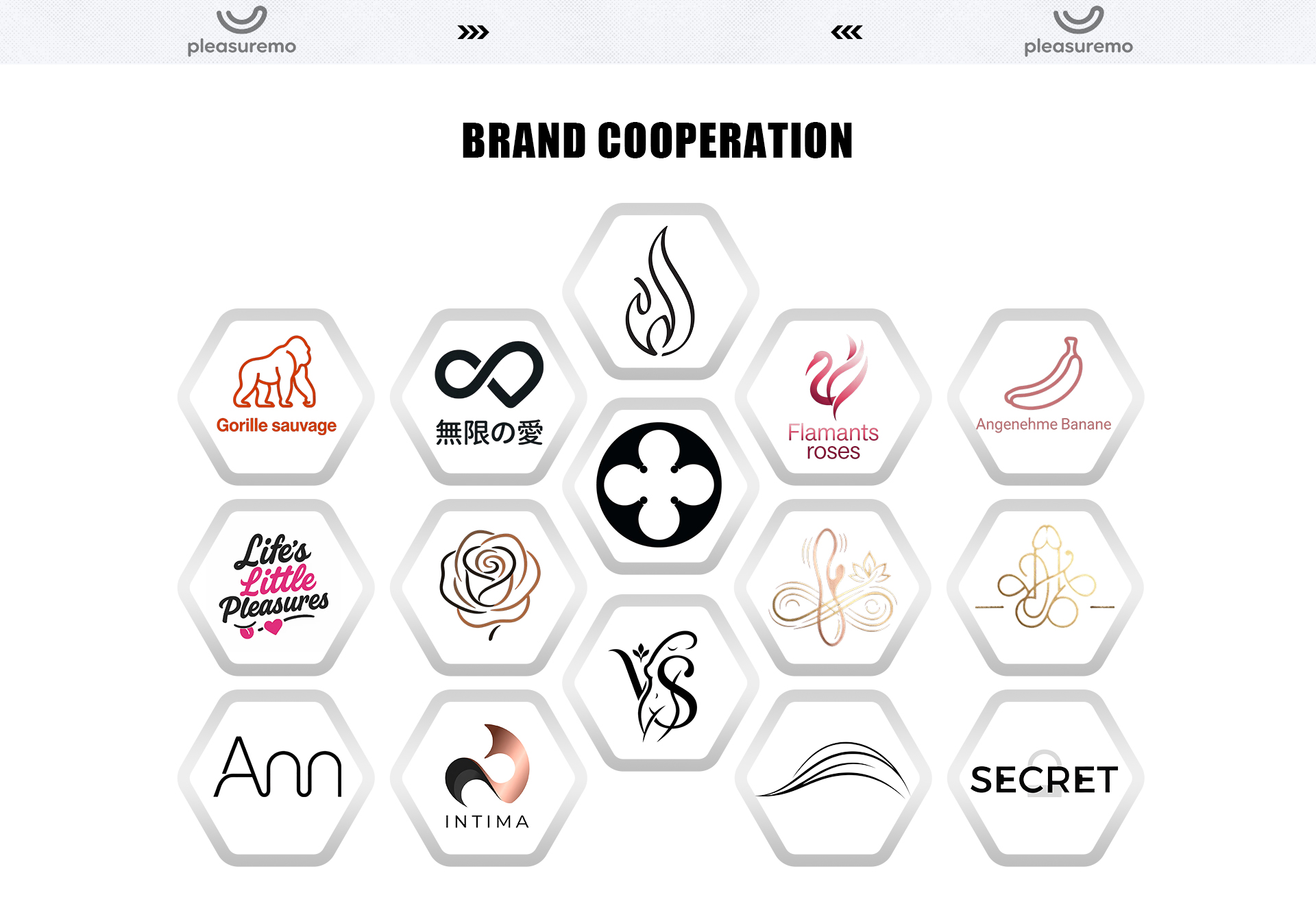 PleasureMo brand cooperation and OEM partners - successful collaborations with various adult toy brands worldwide