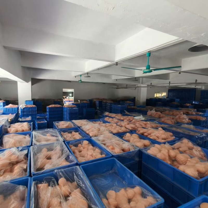 PleasureMo large scale storage area with packaged high quality silicone sex dolls in blue bins