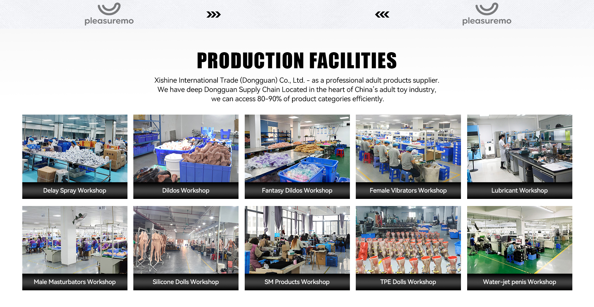 PleasureMo professional production facilities and workshops including dildos, fantasy dildos, SM products, male masturbators and silicone dolls manufacturing