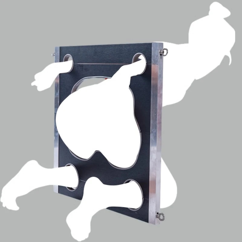 PLEASUREMO SM6805 BDSM body restraint board main image