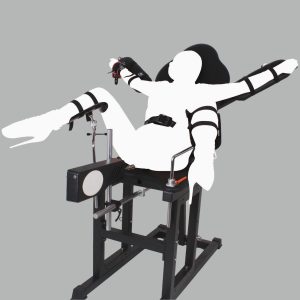 Main product image of the SM6910 multi-position bondage chair in use
