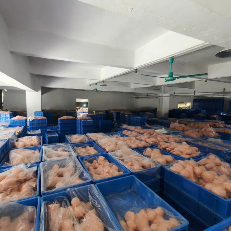 Semi-finished adult toy products stored in factory production bins before final processing
